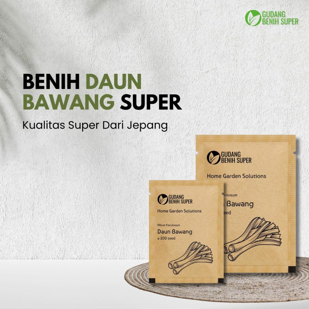 Benih-daun-bawang-super-2.jpg